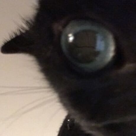 1da505d1 6ab0 4146 bdf8 6939491ad572