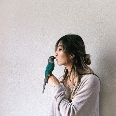 35173462 1359880880822647 1016237013679996928 n