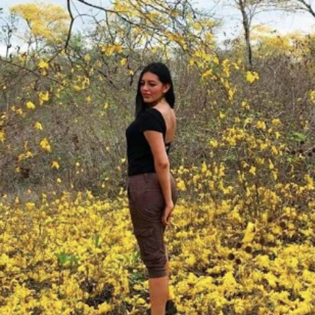 Captura de pantalla 2019 02 06 a la s  10.36.01