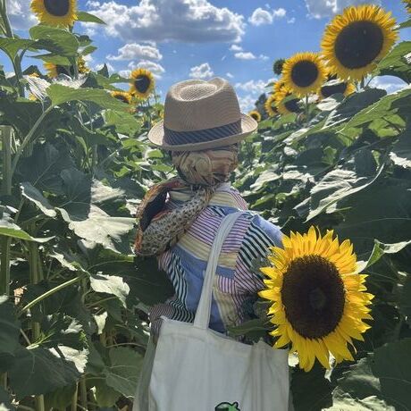 6c1e0491 808b 4b1c 9264 018b84d07422