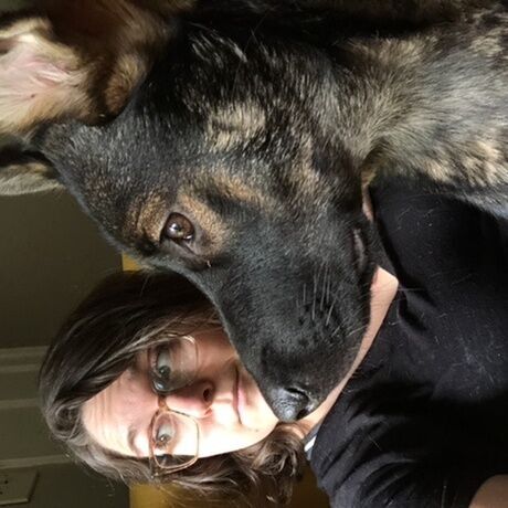 2cb1e2d6 6861 435b bf75 77429c10667e