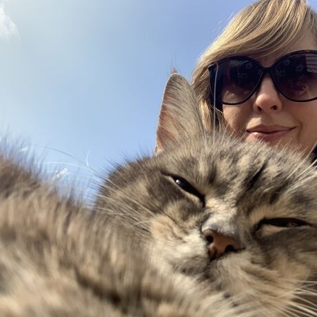 Db0ef1a4 3bbe 4704 a780 53f6cca758ca