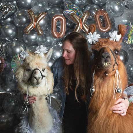 Valentinesllamas 224