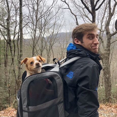 4dc237b6 60a9 460f a903 2a3397a17ec4