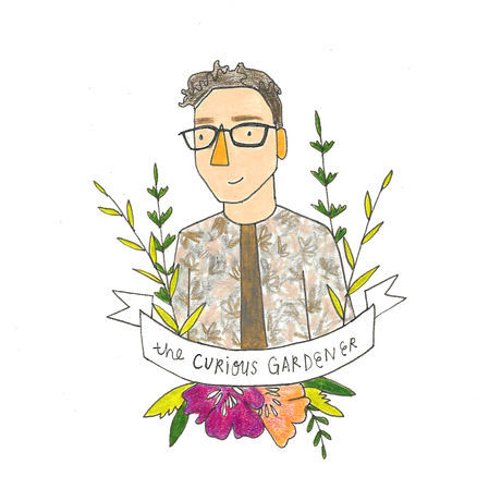 Thecuriousgardener