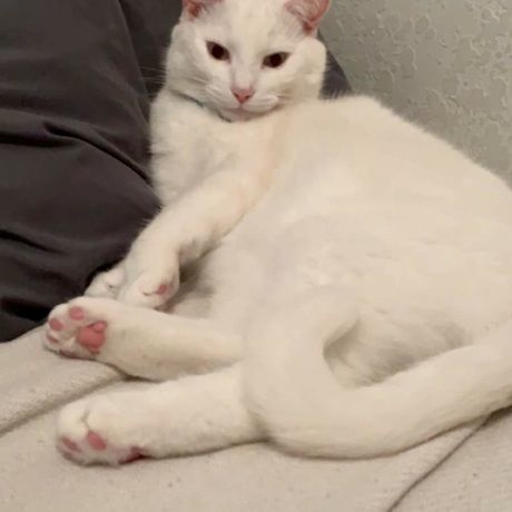 Cd75768a e7bb 4f77 ba32 370791469f1e