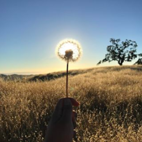 Screen shot 2019 02 26 at 1.55.08 pm