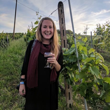 6c0fba7b 4fe8 464a a42e 47ddf12084b4