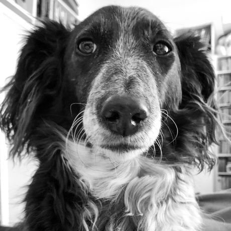 731ebcb0 83a1 4a1b 8033 49742599d5d0