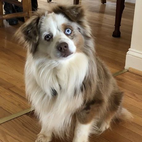 2927ae3d 2d5b 4dee 82ef 545e29b94e36