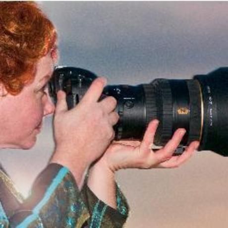 A20133ec67497714b3b62c17cefe4650