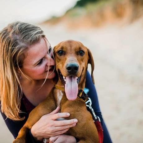 21731507 1562537057139563 77985616716014531 o