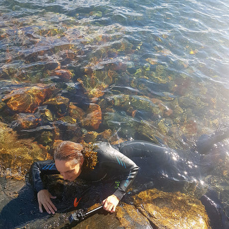 Elin.t.sorensen tidalscape low rez