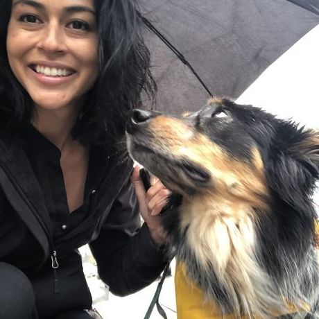 9cd645ca 909e 4d75 b6ed 3449543250a2