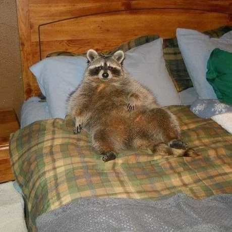 62033001 882962802077196 1684294519165550592 n