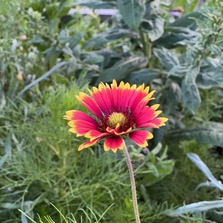 1561fed0 e6a9 4bc5 91c4 32e335cf1265