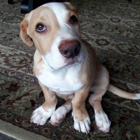 5cf97be7 f861 402e b2f4 a46528cf2655