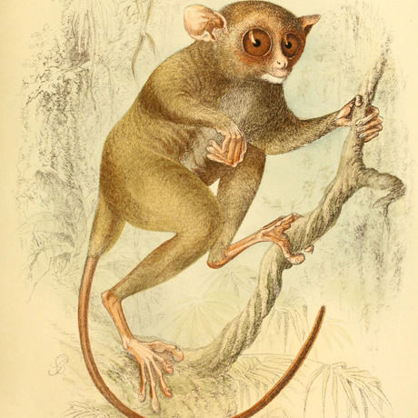 5985192470 761c3159c5 o