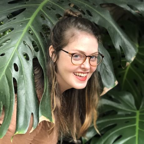 6caf3e31 a056 421e aa20 d7e799ed2564