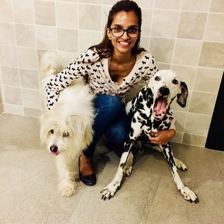 F50d4464 0676 4073 bcb7 497b4dfdd934