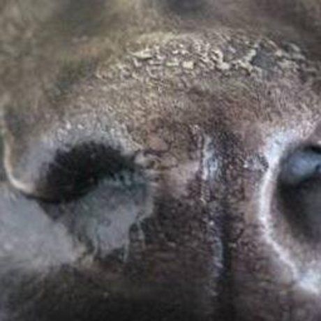 04166639afb74b0ef680090e7fb3add1