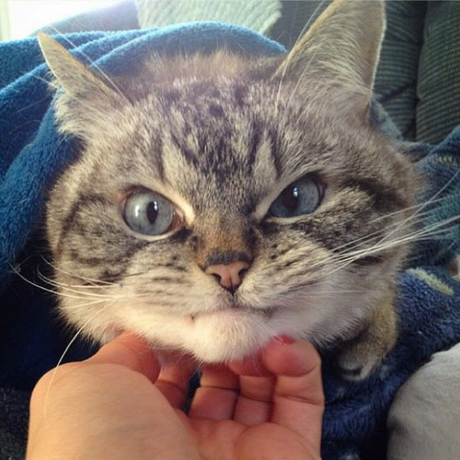 13346899 1078841758860090 329106051789102901 n