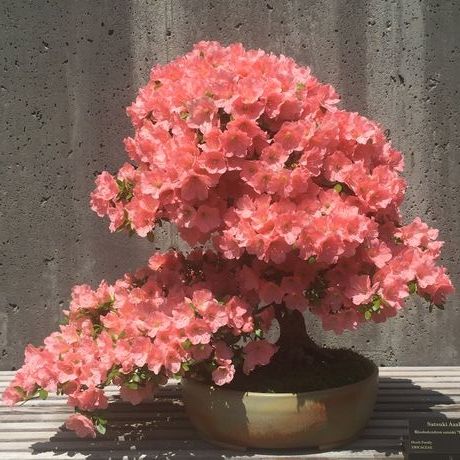 C25df4a7 b822 4c05 a001 e53f3bb1857f