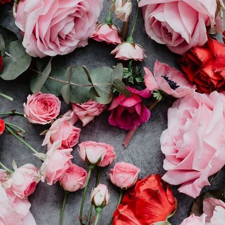 123945 adapted 1080x1920