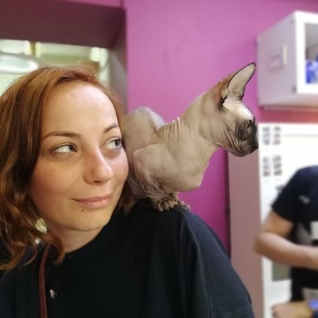 09512c9e 9e26 40bd 99fe 9b1eeefc620f