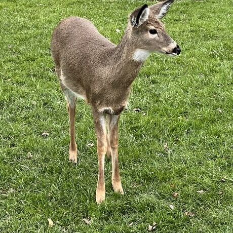 E7f44ac4 63f4 4a7c a395 839cfb62f488