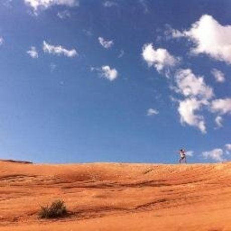 2f1a525e0a0087025ee12042842812ee