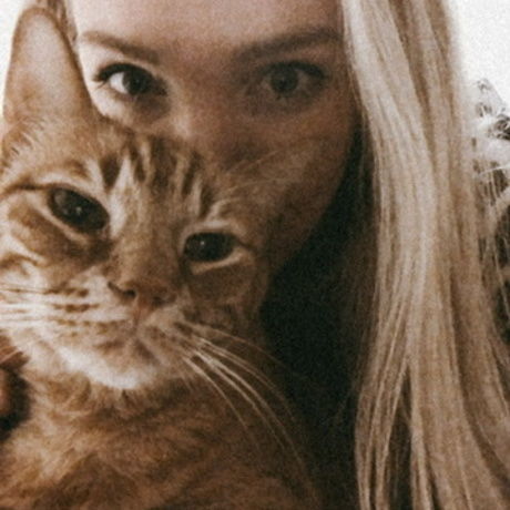 91dc67c3 b12f 402e bd6a 35296c76b4ad