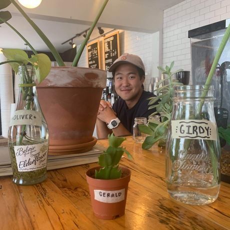 C090520b 48f5 44ae b8e2 adcf5c3edcf7