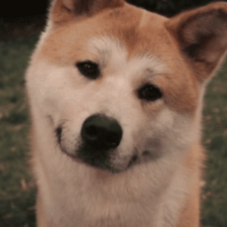 49b846c8cb73b51dec02356c1f00d01d