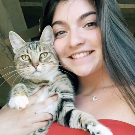 C6779f8f 508d 4bc4 8e67 a790c3c4bcad