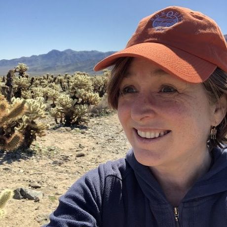 8d40f21e de8b 4233 8c19 b5a72118b57a