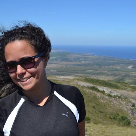 19494d6b b425 4191 a8f8 5bf155557827