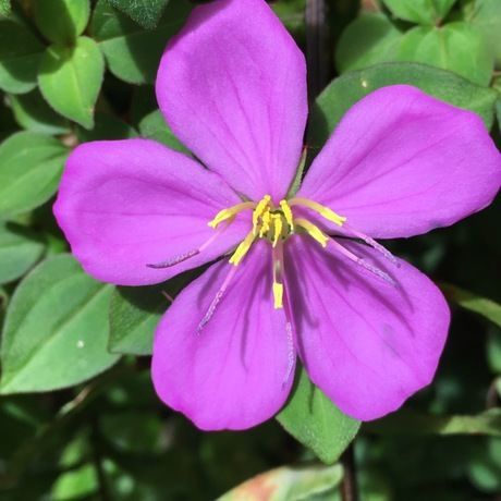 9e58678c d903 48f3 8bc0 40611327bd39