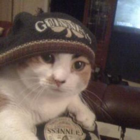 8cdaa8724ef75e3fb26c6962228d4931