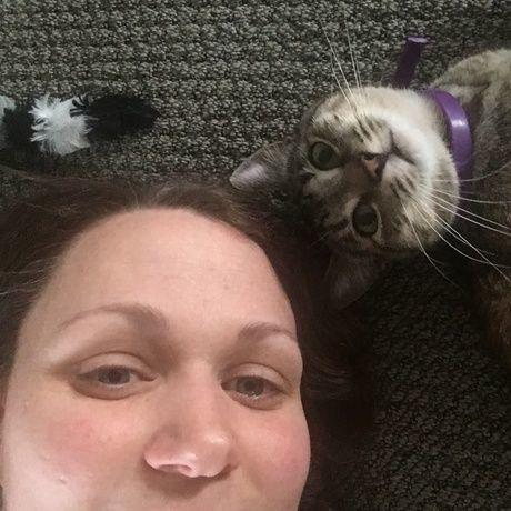 Abe62117 bce3 4c2e 921b 289139d38882