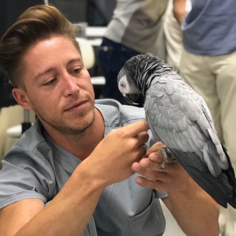 F6930083 7c37 41d8 862a c22cdbaee63a