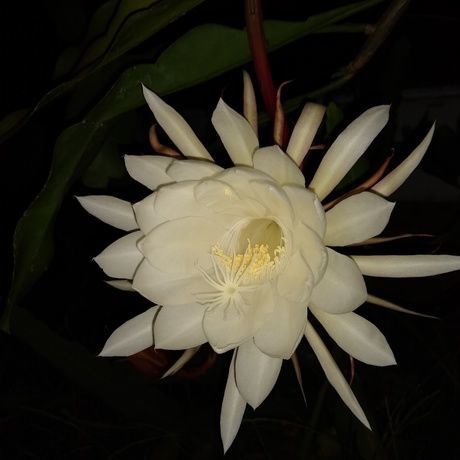Img 20190924 213638126