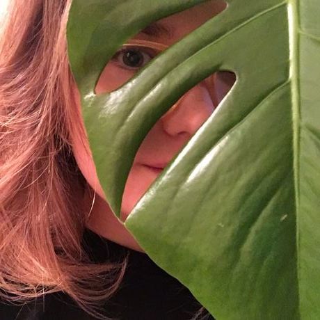 15a4a7b6 2053 4474 bc97 e0b0b0455356