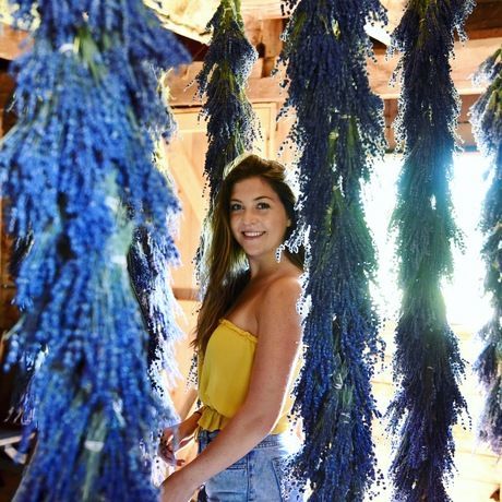 B08c6014 445a 4559 8fb2 4ae78a44786e