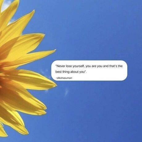 3895385d 9a60 402e a7f3 b21e832cace4