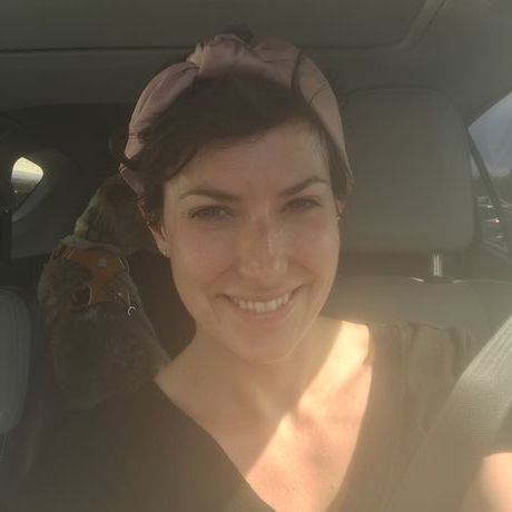 6e005dfc b85c 4f6c 9b21 b8498214419a