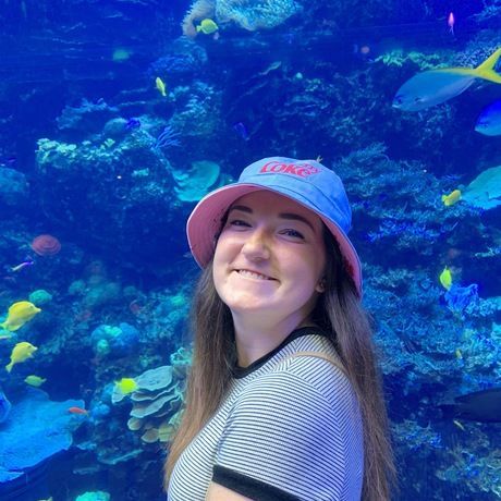 324691ac 72ef 4330 9b4d c66e78f54294