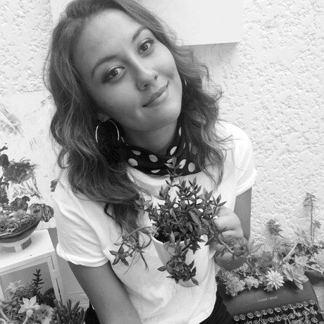 Thumbnail img 20190225 113400