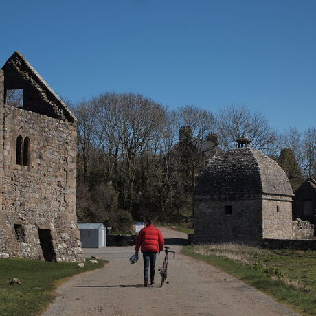 16b2669b 2071 4115 a4f8 31db96d907f5