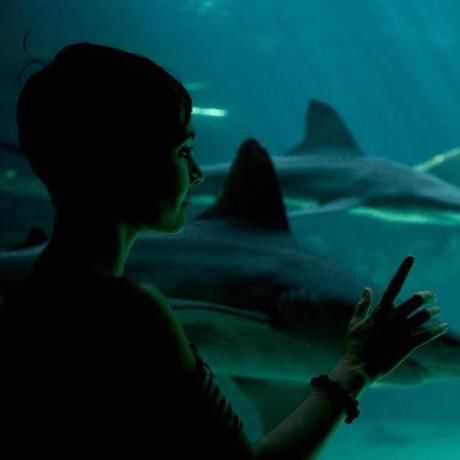 580558 4802880841277 1164279762 n